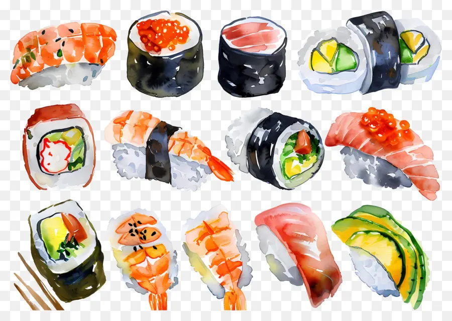 Sushi Acuarela，Sushi PNG