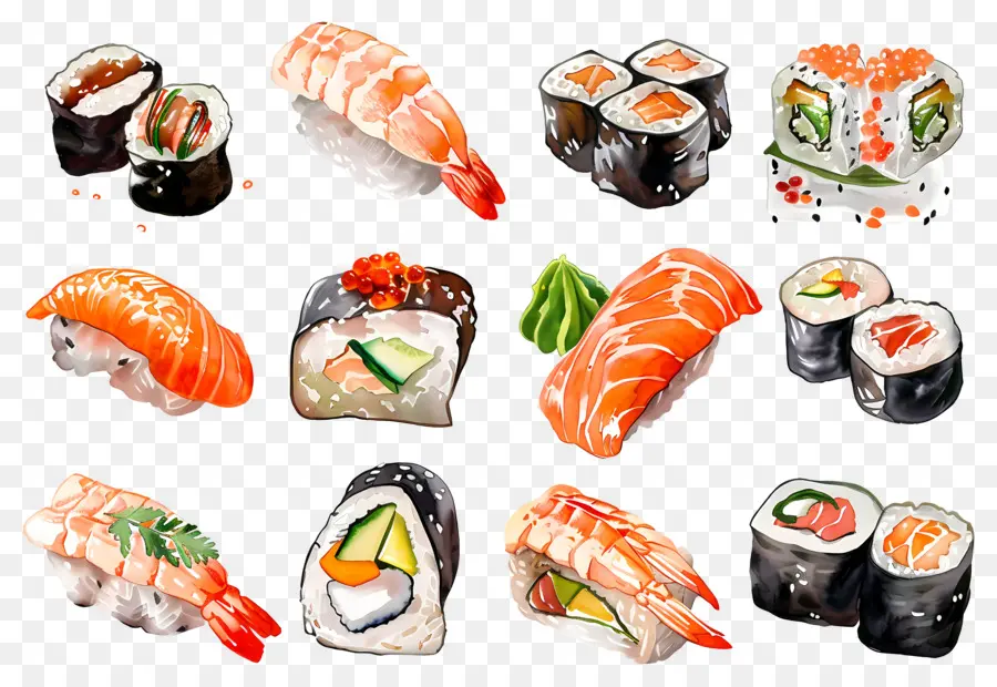 Sushi Acuarela，Sushi PNG