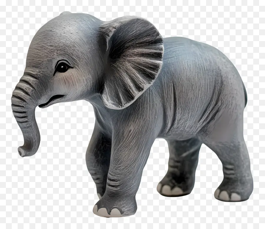 Bebé Elefante，Elefante Blanco PNG