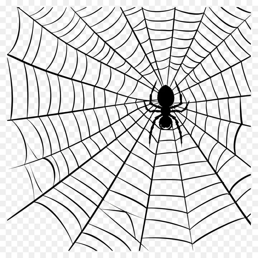 Telaraña De Halloween，Telaraña PNG