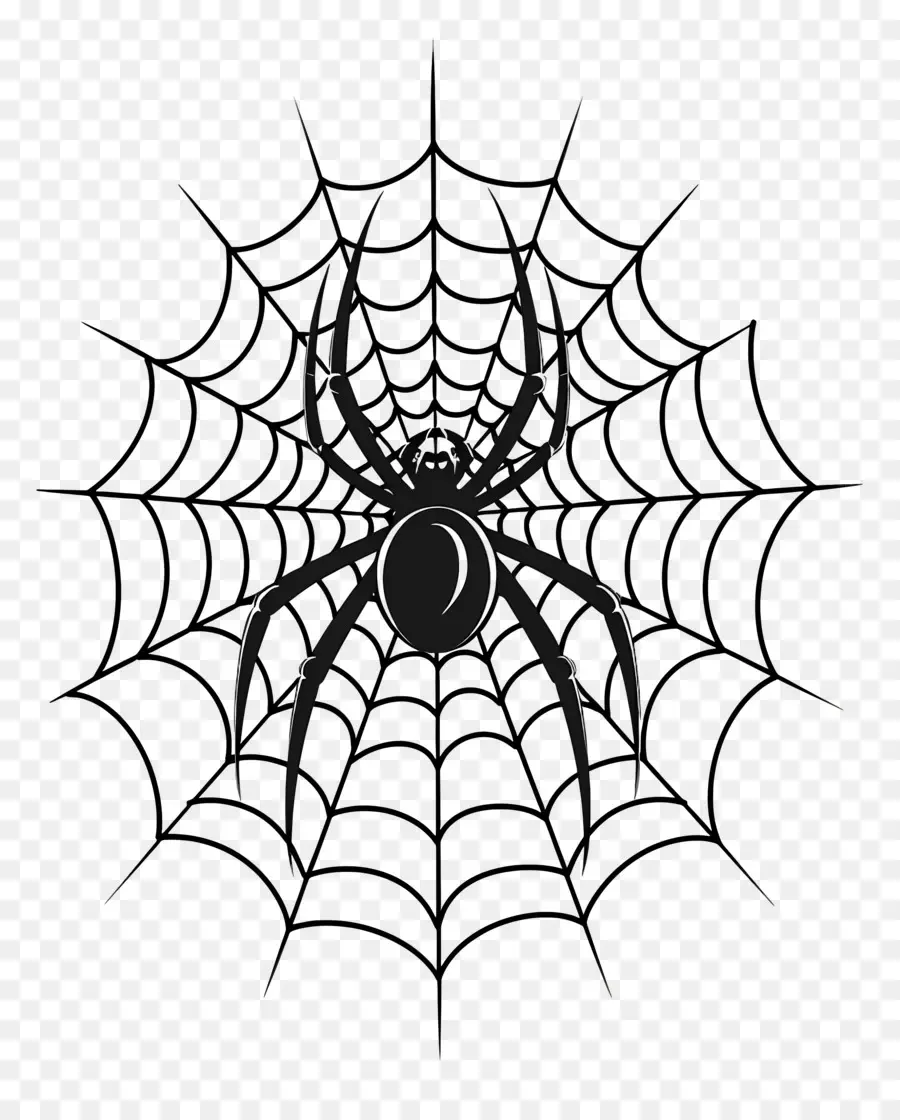 Telaraña De Halloween，Telaraña PNG