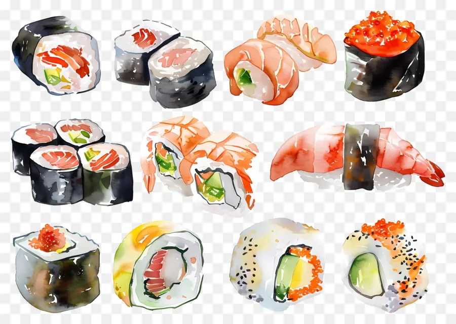 Sushi Acuarela，Sushi PNG