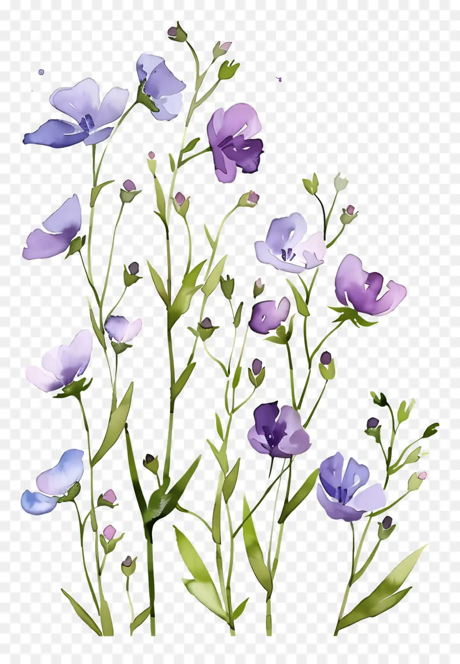 Fondo De Flores，Flores Pastel PNG