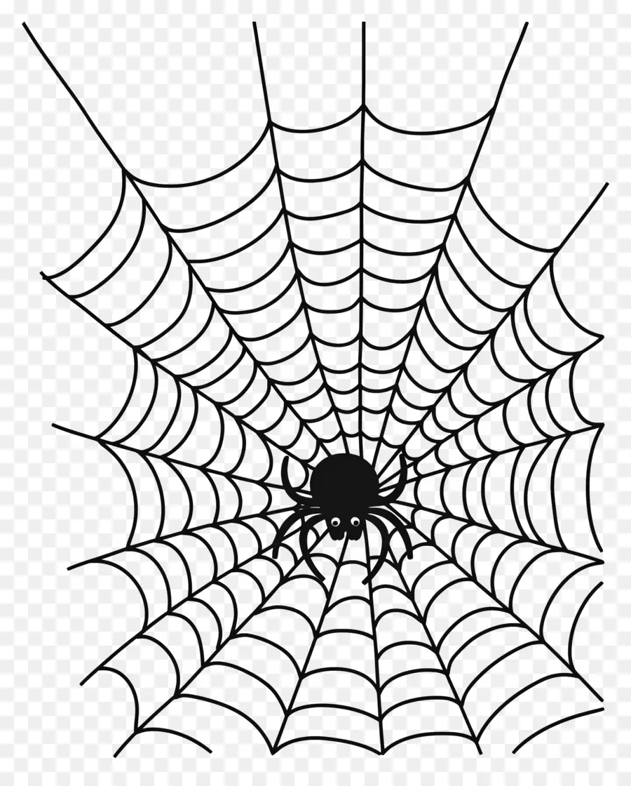 Telaraña De Halloween，Telaraña PNG