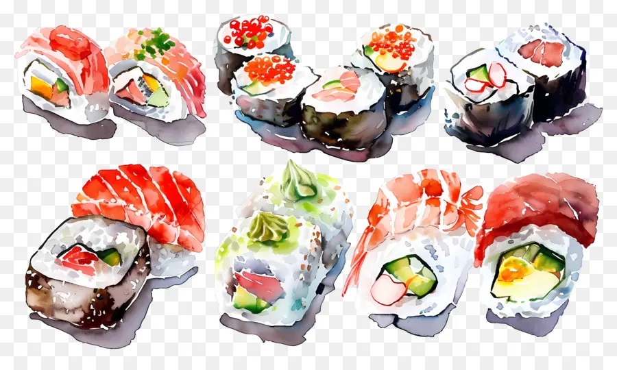 Sushi Acuarela，Sushi PNG