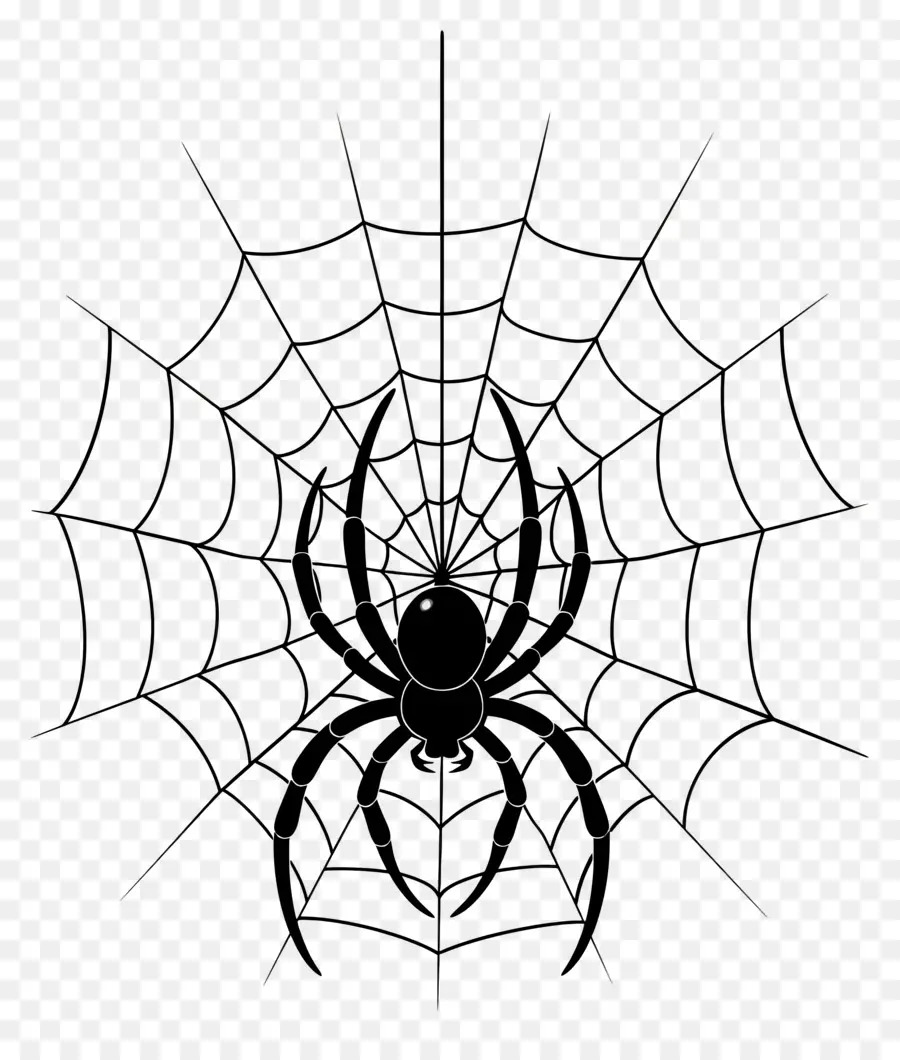 Telaraña De Halloween，Araña PNG