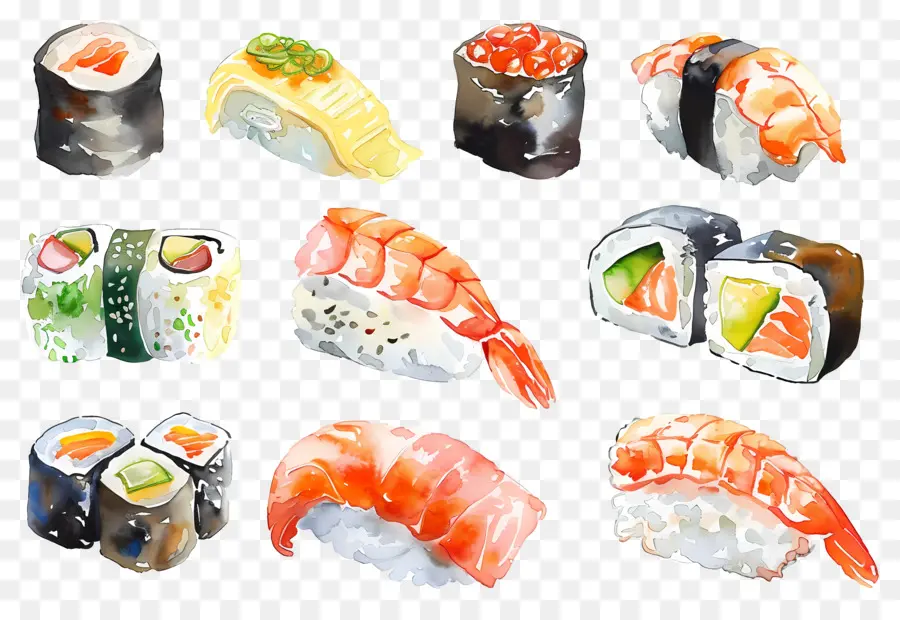 Sushi Acuarela，Sushi PNG