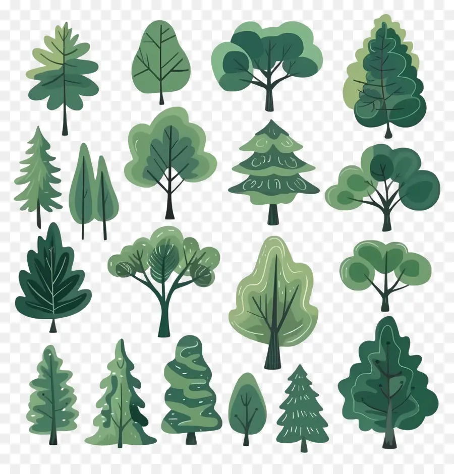 árbol Minimalista，Árboles PNG