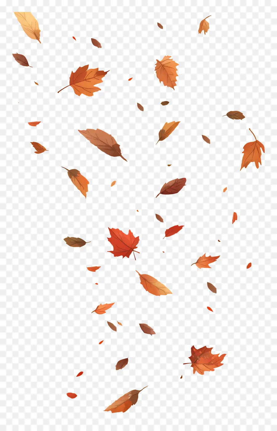 Hojas Caídas，Hojas De Otoño PNG