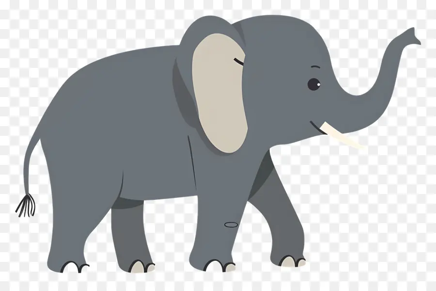 Lindo Elefante，Elefante PNG