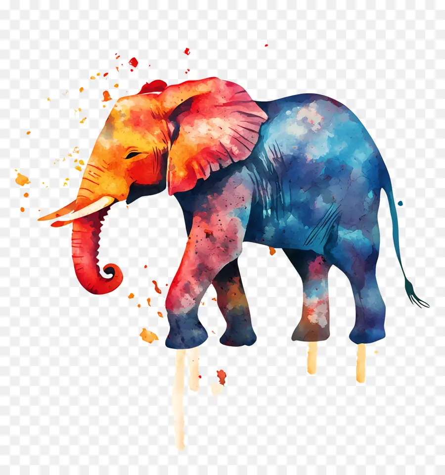 Elefante Acuarela，Elefante Colorido PNG