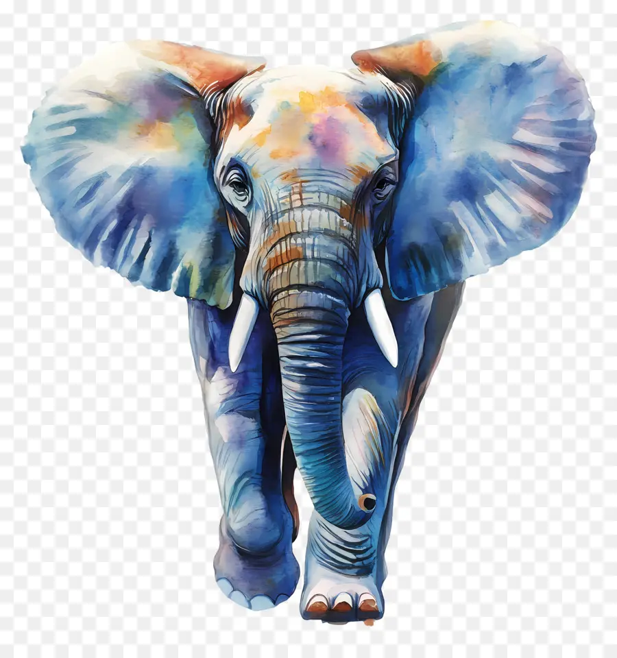 Elefante Acuarela，Elefante Colorido PNG