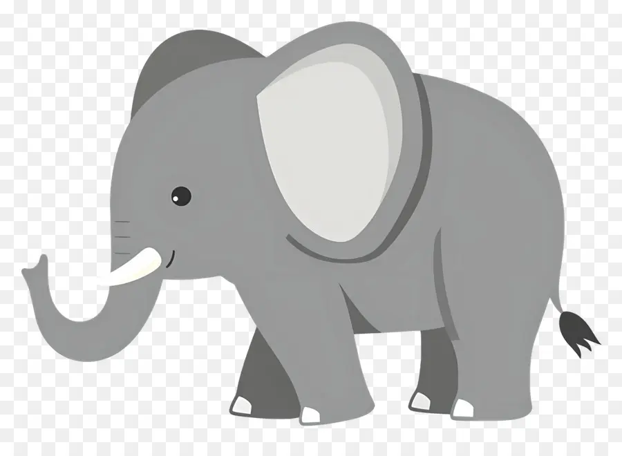 Lindo Elefante，Elefante PNG