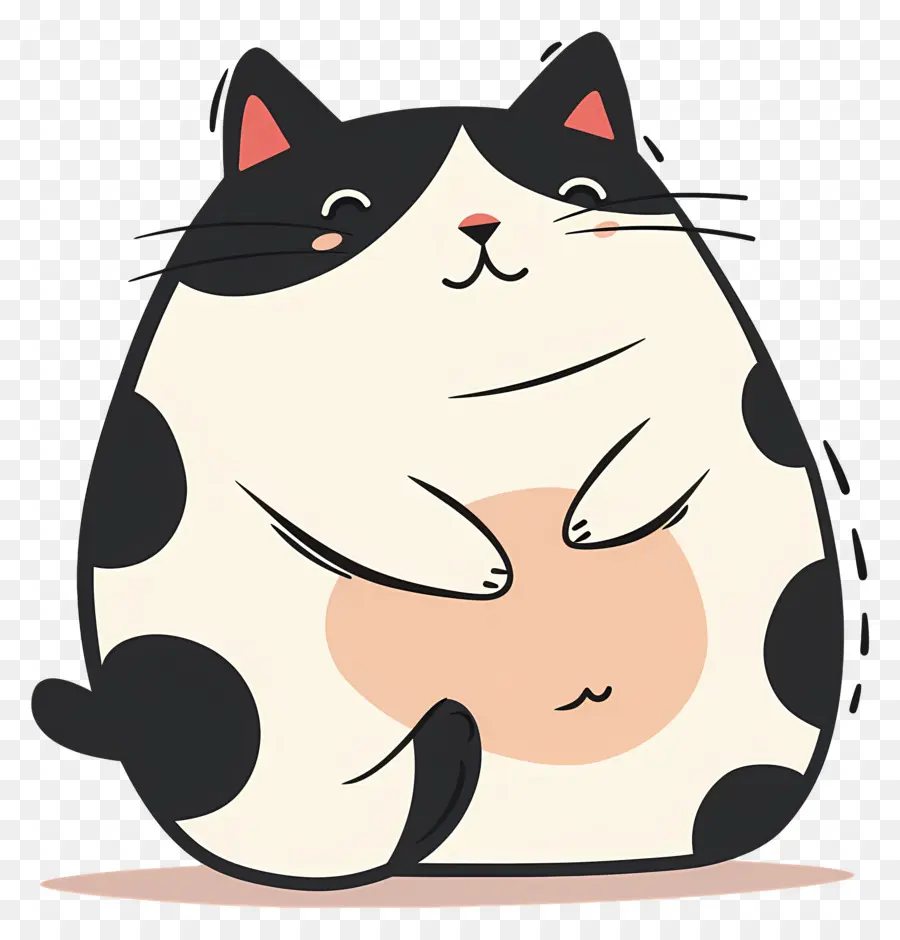 Lindo Gato，Gato Blanco Y Negro PNG