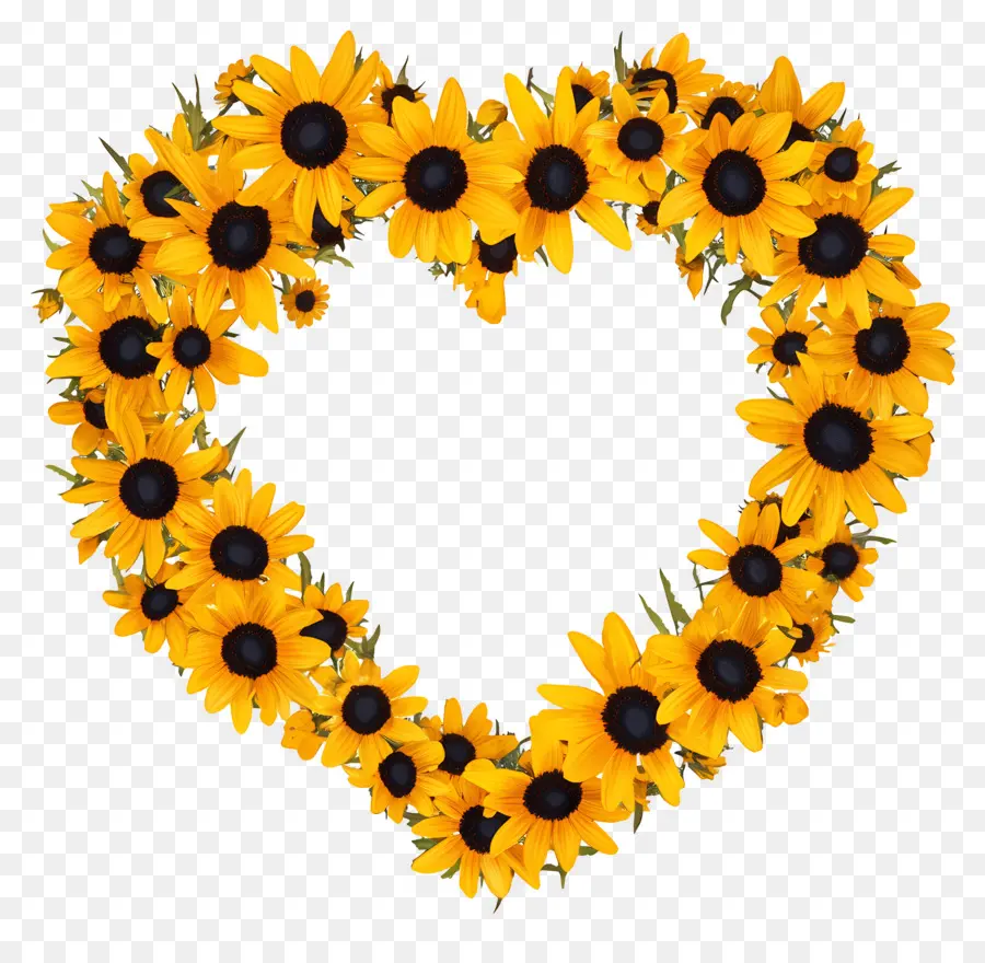 Marco De Corazon，Corazón De Girasol PNG