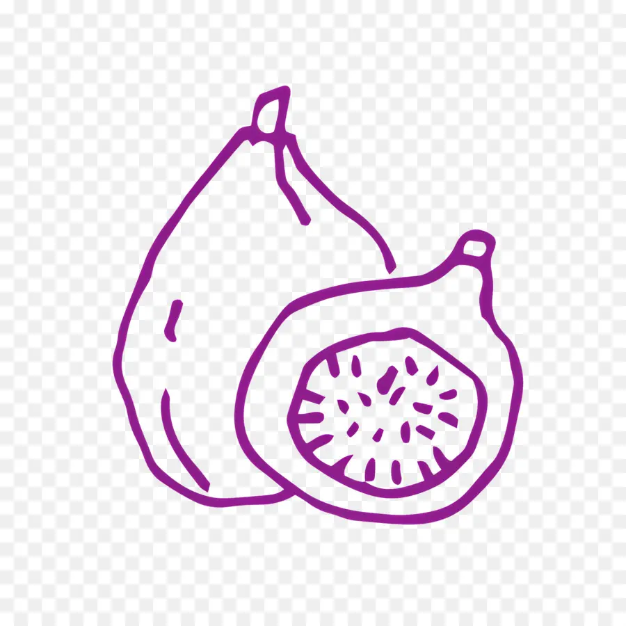 Boceto De Comida，Higo Morado PNG