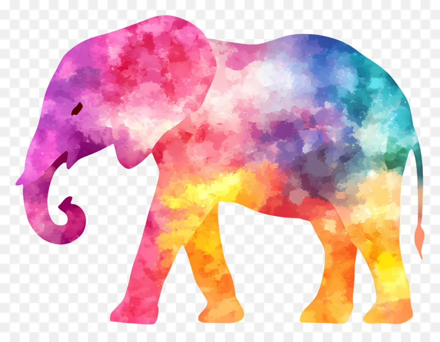 Silueta De Elefante，Elefante Colorido PNG