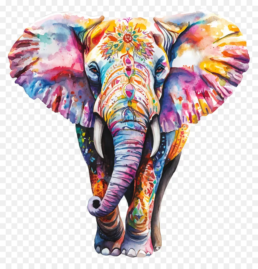 Elefante Acuarela，Elefante Colorido PNG