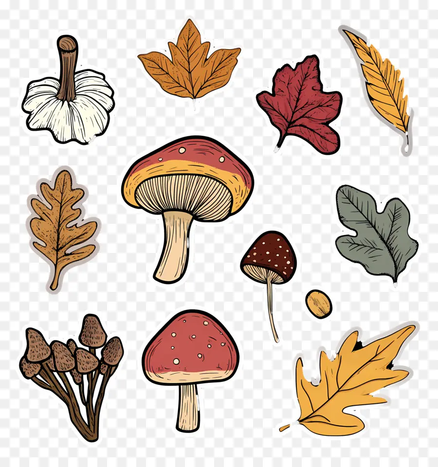 Naturaleza De Otoño，Hongos Y Hojas PNG