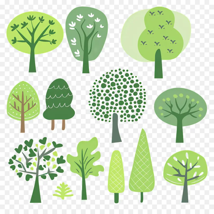 árbol Minimalista，Varios árboles PNG