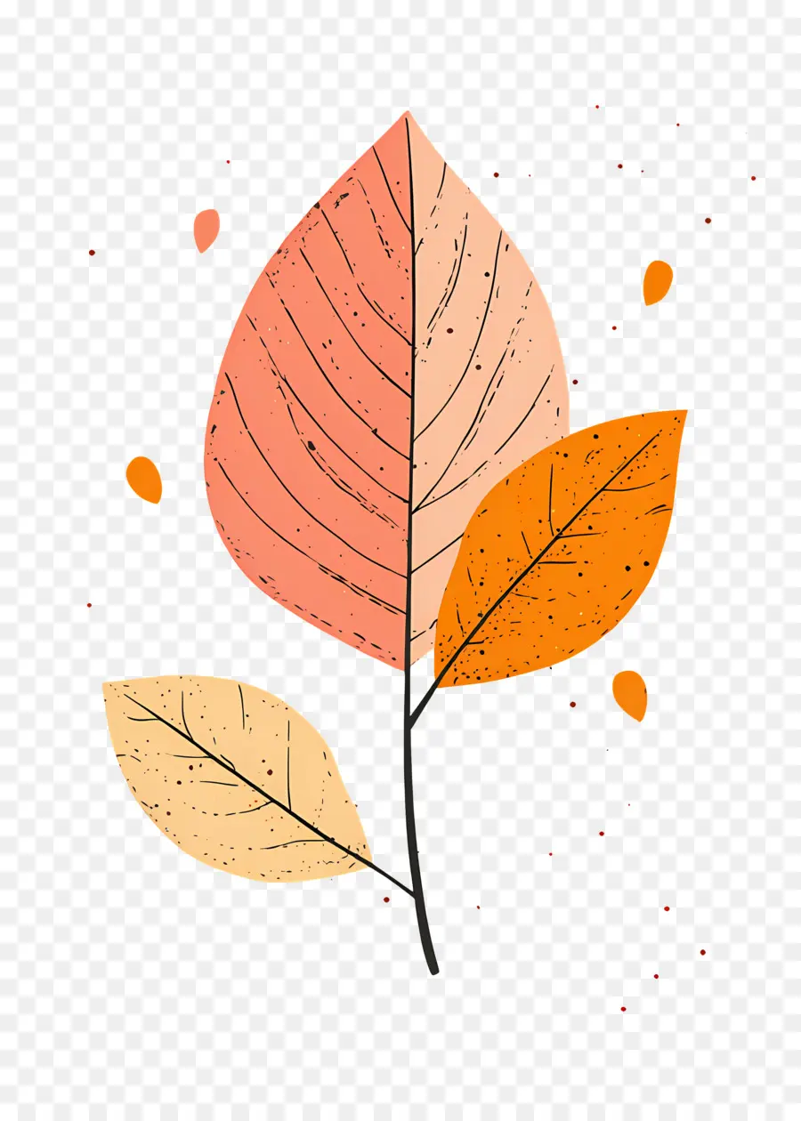 Hoja De Otoño Lindo，Hojas De Otoño PNG