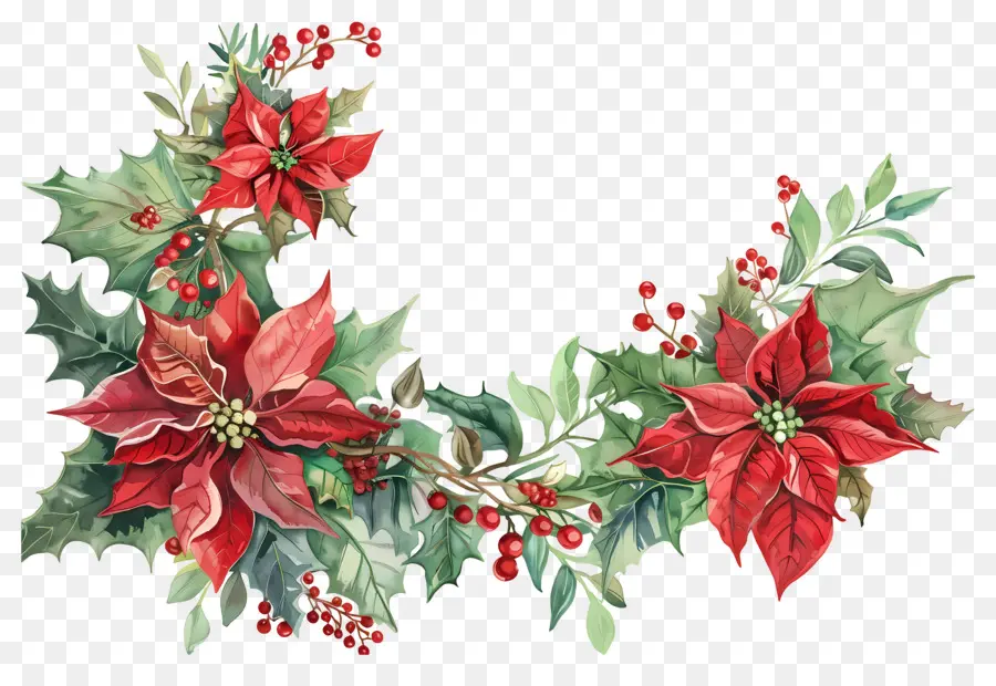 Rincón De Navidad，Flor De Pascua PNG