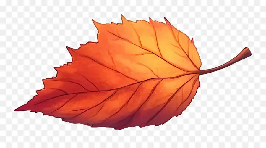 Hoja De Otoño Lindo，Hoja De Otoño PNG