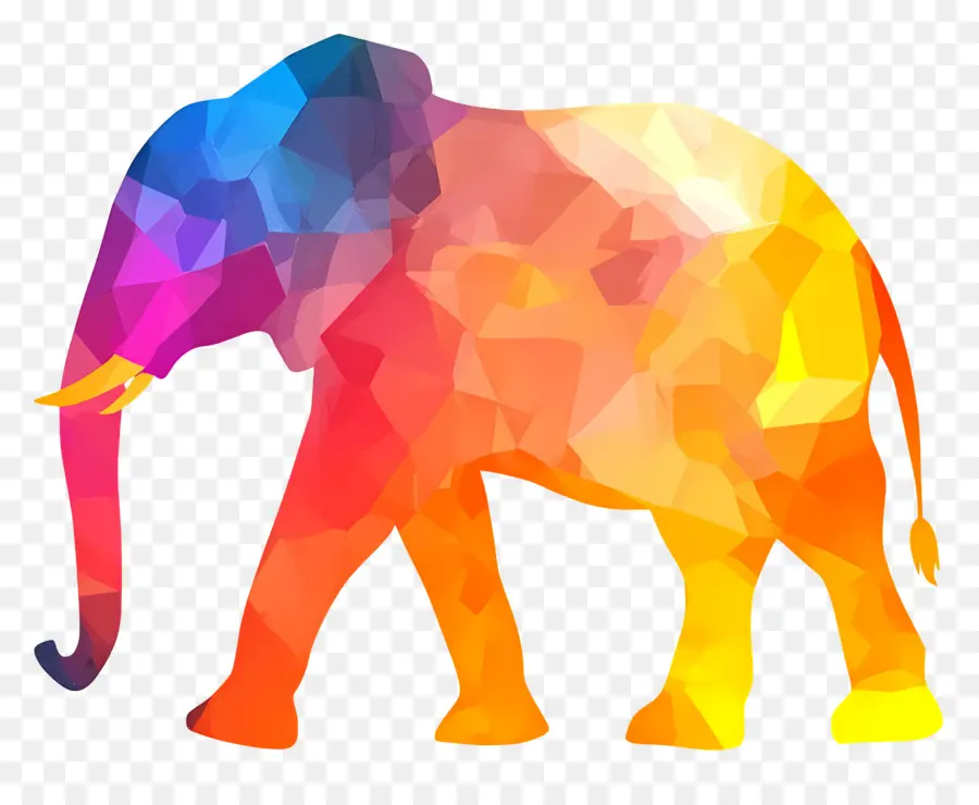 Silueta De Elefante，Elefante Colorido PNG