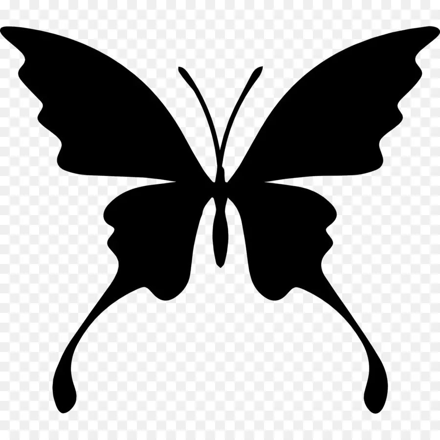 Silueta De Mariposa，Negro PNG