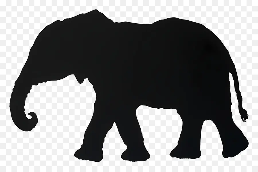 Silueta De Elefante，Silueta De Elefante Negro PNG