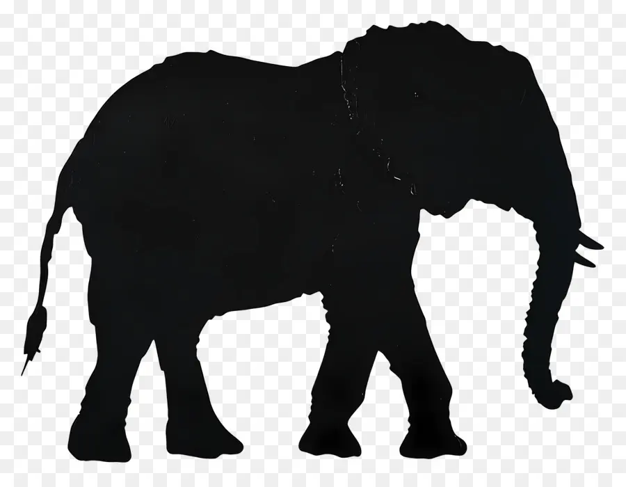 Silueta De Elefante，Silueta De Elefante Negro PNG