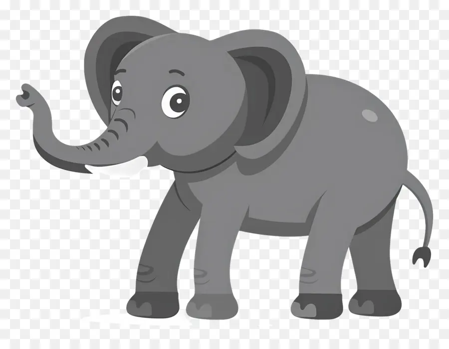 Lindo Elefante，Elefante PNG