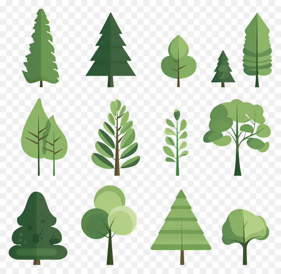 árbol Minimalista，Árboles PNG