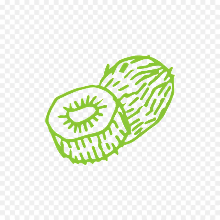 Boceto De Comida，Kiwi Verde PNG