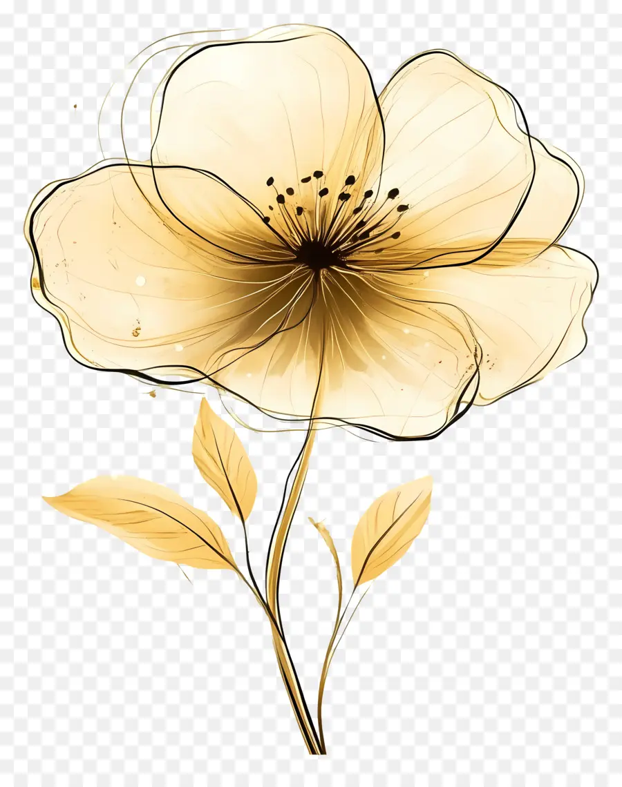 Flor Oro，Flor Dorada PNG