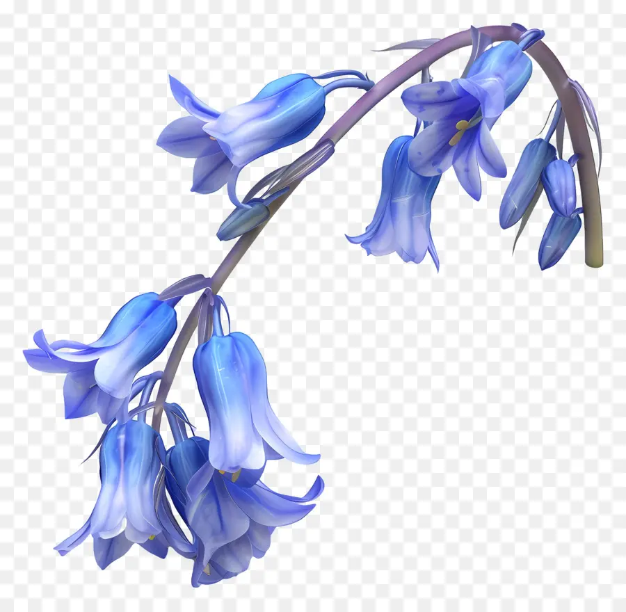 Flor 3d，Flores Azules PNG