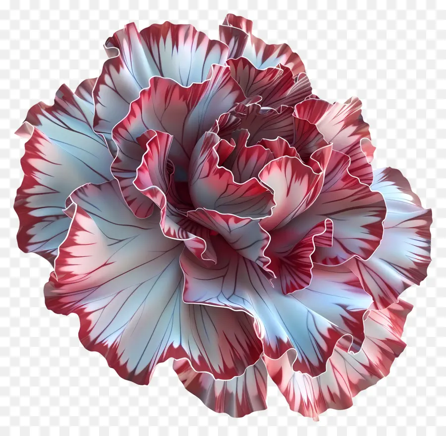 Flor 3d，Flor Roja Y Blanca PNG