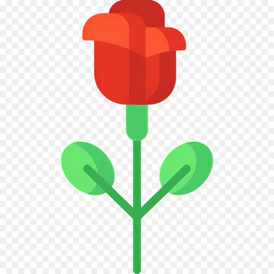 Flor Rosa，Rosa PNG