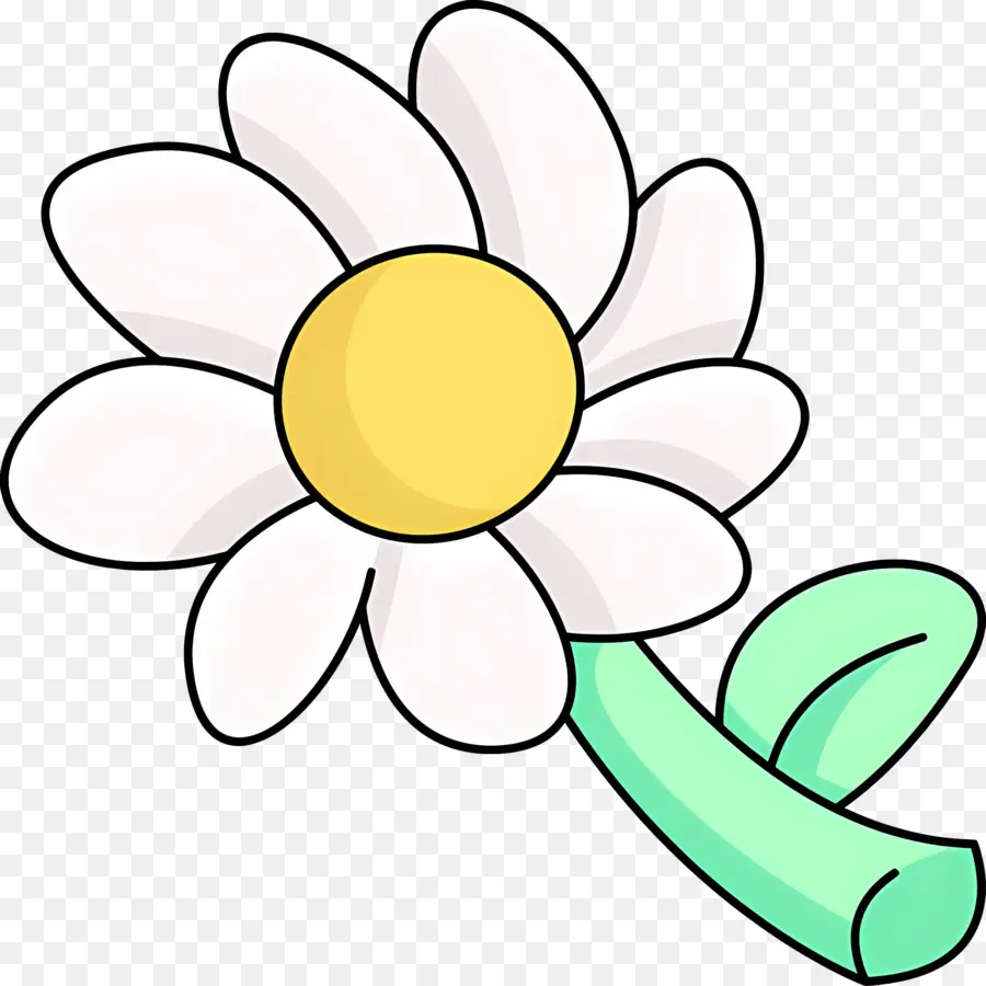 Flor De Margarita，Margarita Blanca PNG