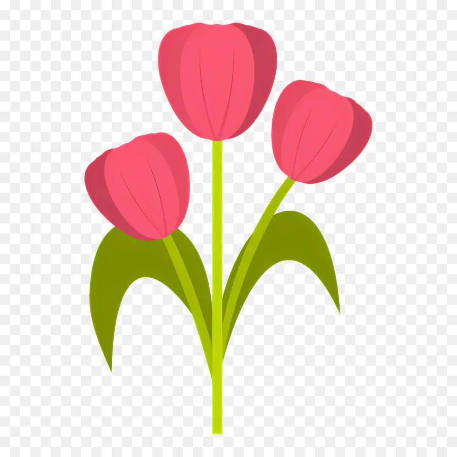 Flor Rosa，Ramo De Tulipanes PNG