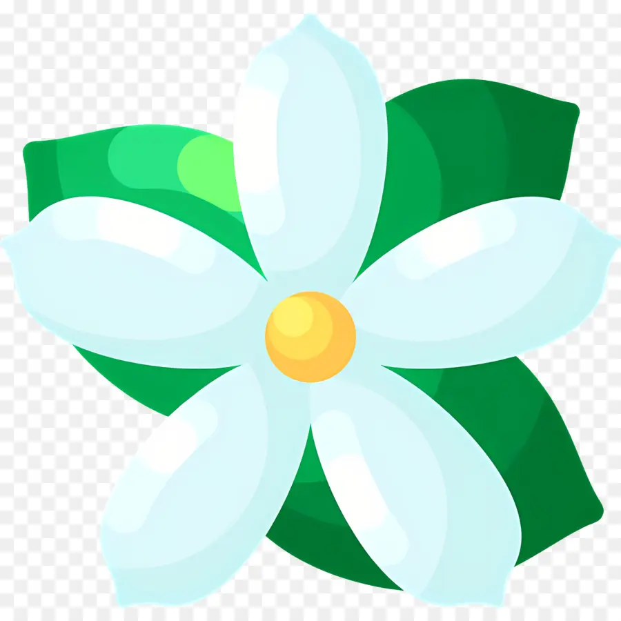 Flor De Jazmín，Sola Flor Blanca PNG