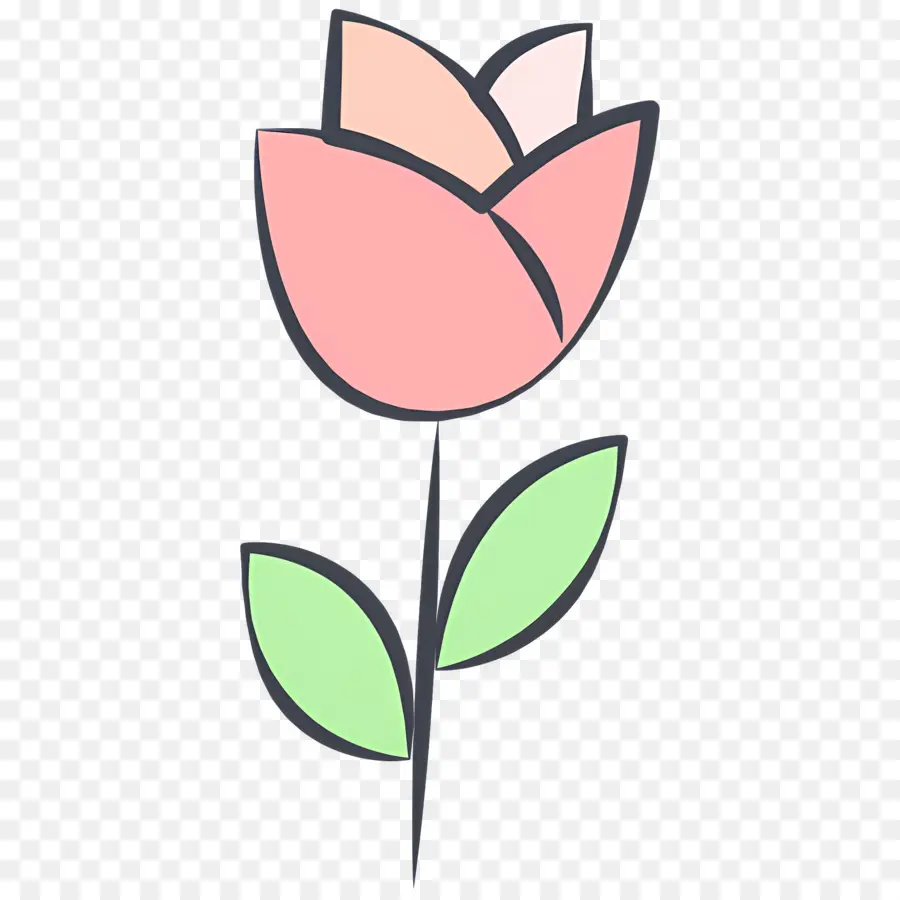 Flor Rosa，Tulipán Rosa PNG