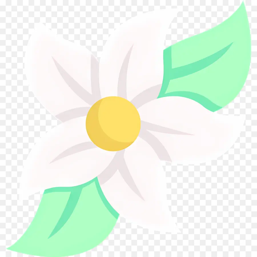 Flor De Jazmín，Flor Blanca PNG