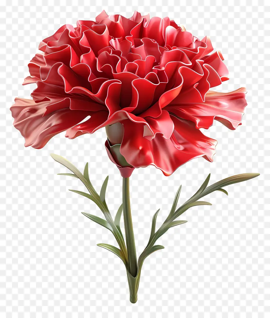 Flor 3d，Clavel Rojo PNG