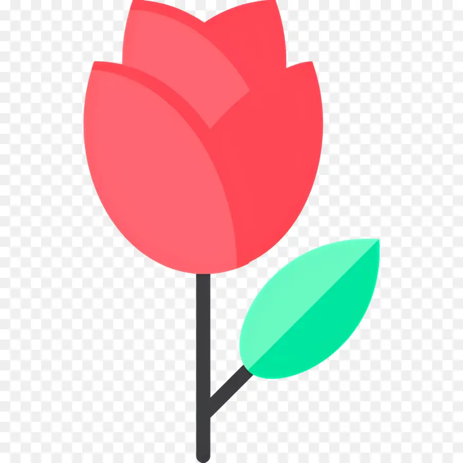 Flor Rosa，Rosa PNG