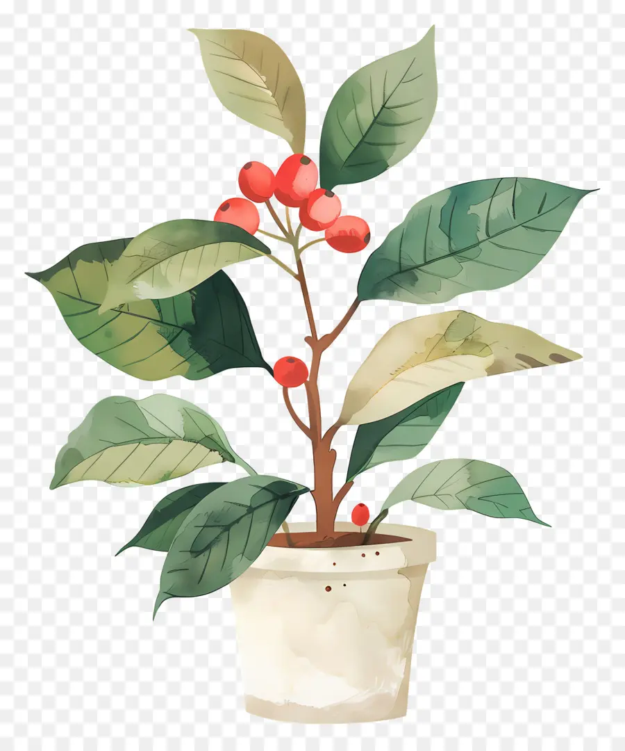 Planta De Acuarela，Planta En Maceta PNG