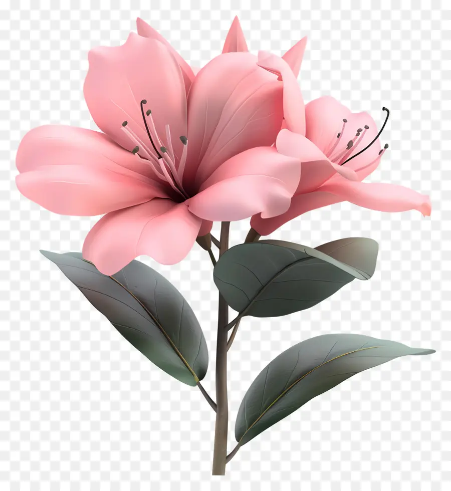 Flor De Azalea Modelo 3d，Flores Rosadas PNG