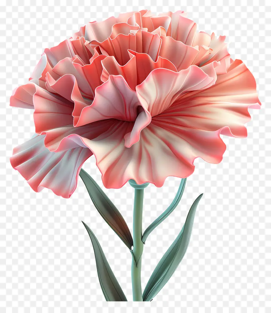 Flor 3d，Clavel Rojo PNG