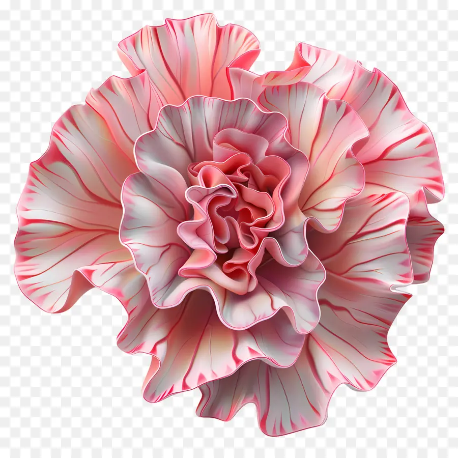 Flor 3d，Clavel Rosa PNG