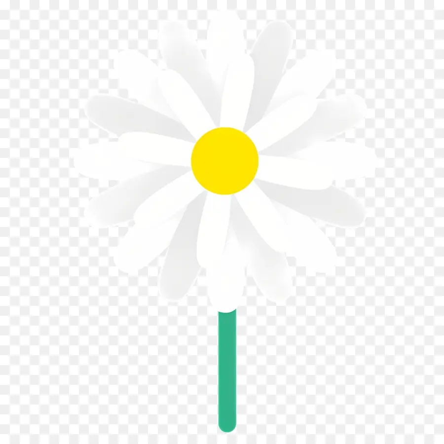 Flor De Margarita，Margarita Blanca PNG